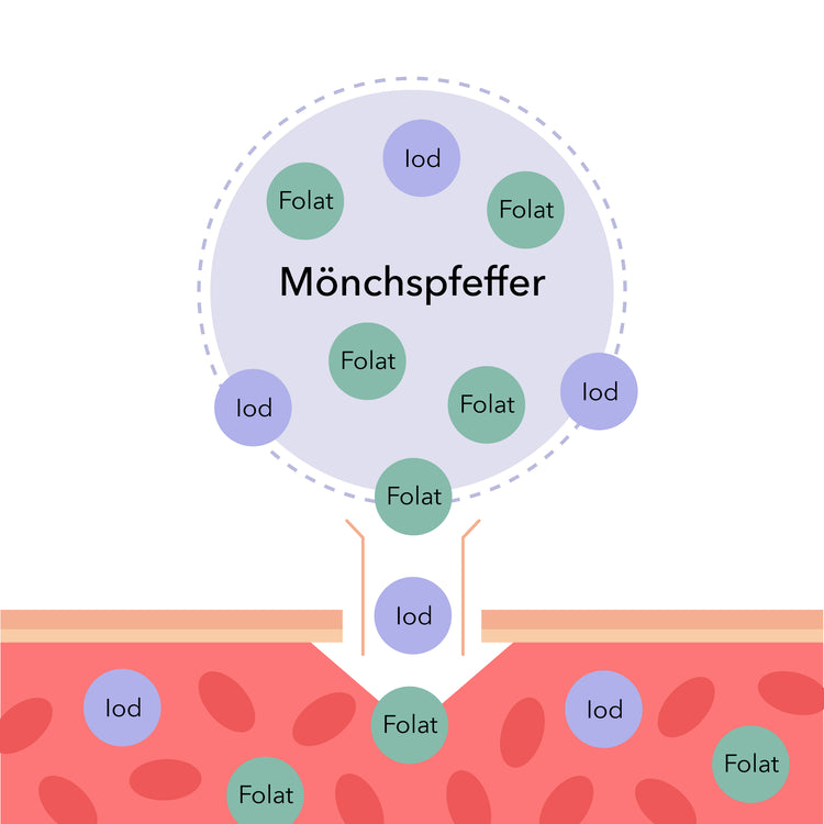 was ist Bioverfügbarkeit?