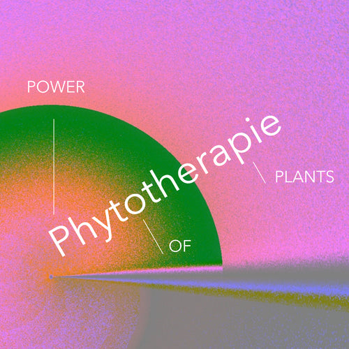 Phytotherapie Grüner Salbei