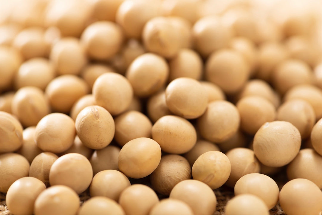 Nattokinase: Das Wunder-Enzym aus Japan