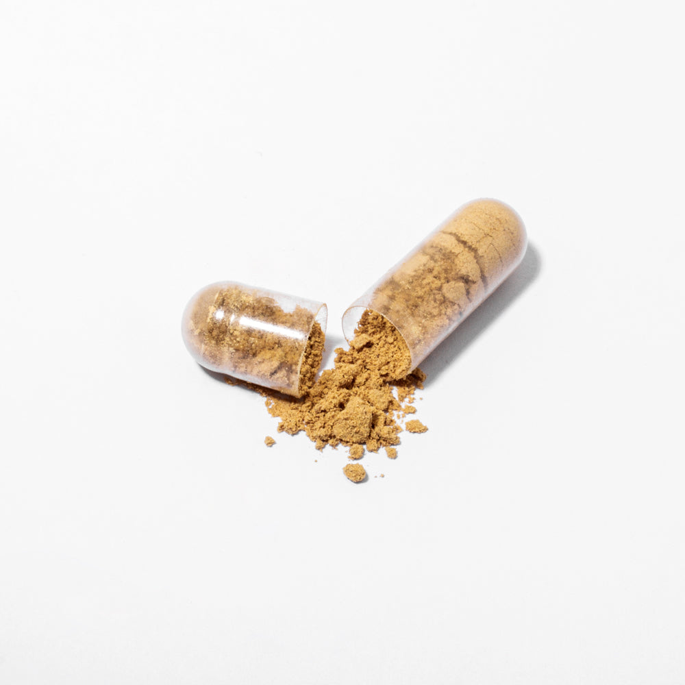 Milk Thistle Complex with Sylimarin